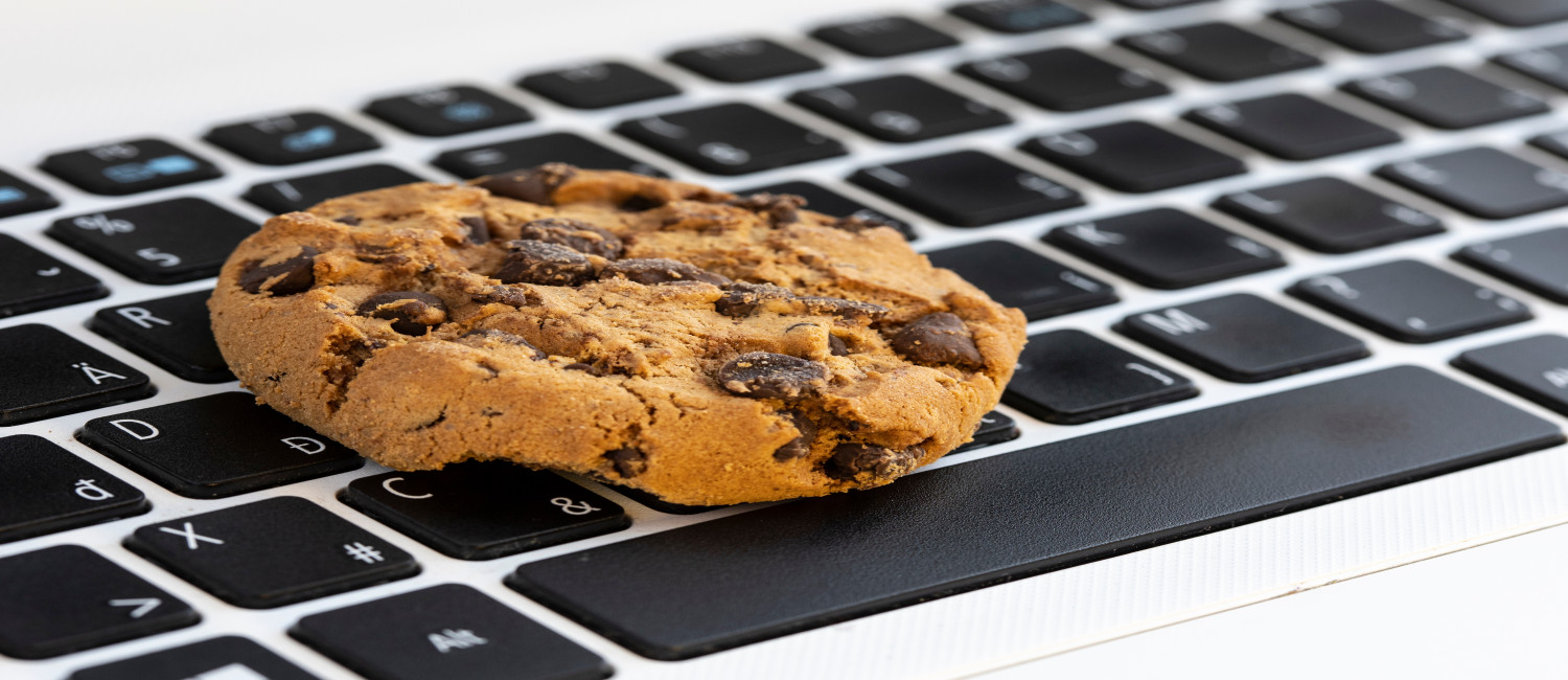 Website Cookie Policy For Rodeway Inn & Suites